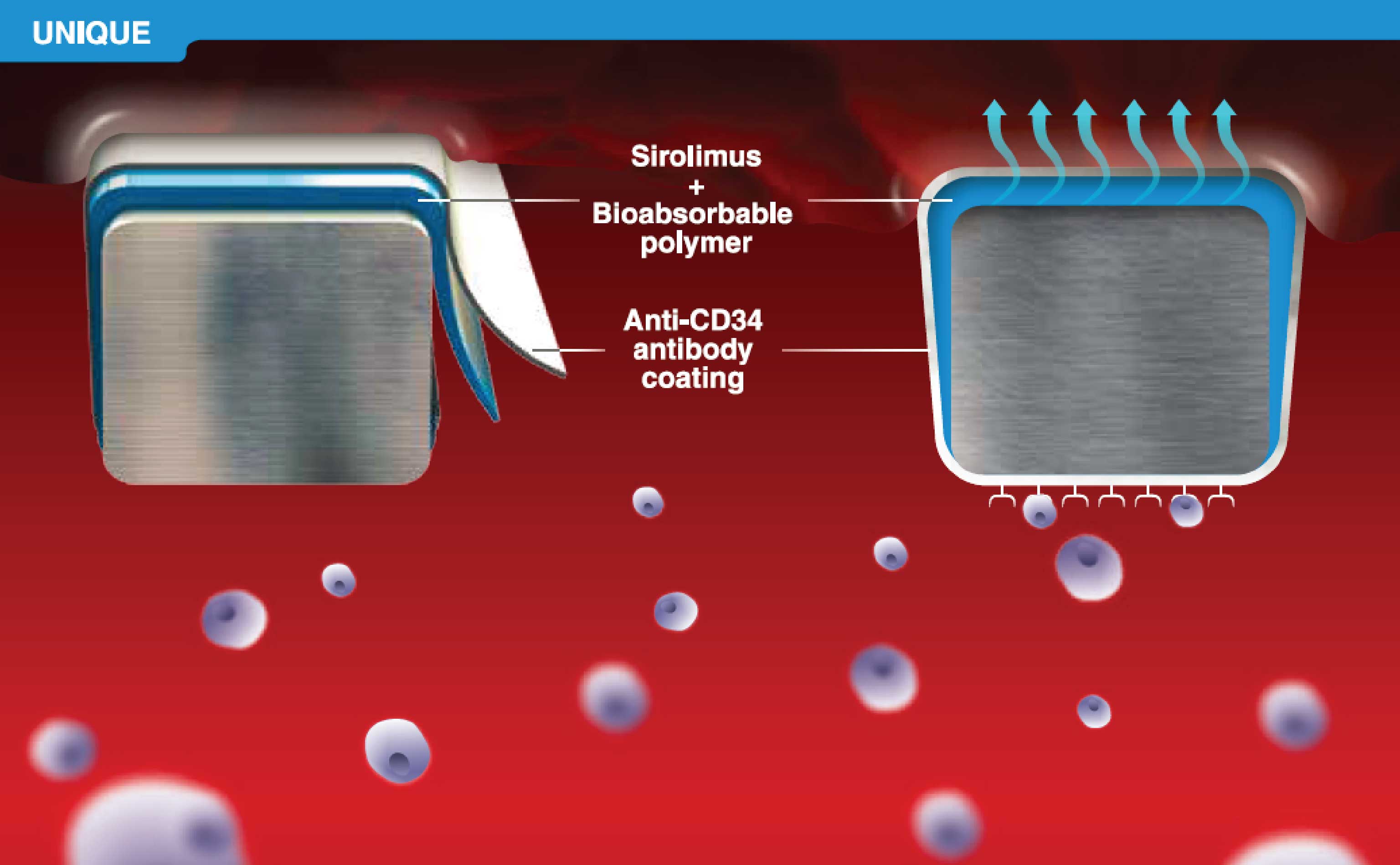 استنت درمان دوگانه OrbusNeich Medical B.V - Combo Plus 