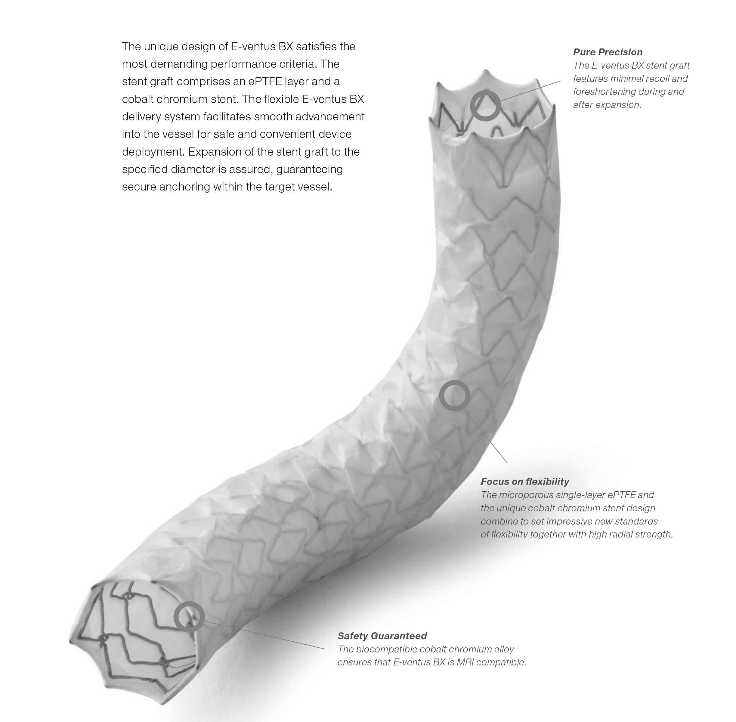 Jotec - E-Ventus BX Peripheral Stent Graft