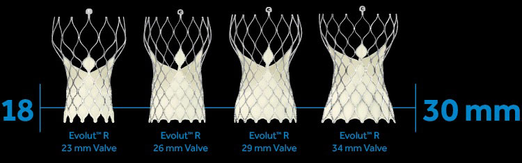 Medtronic - Evolut R System Transcatheter Aortic Valve