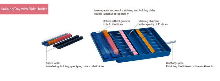 Slide Staining Tray with Slide Holder