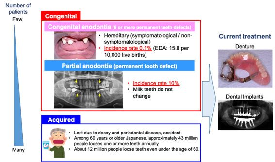 Toregem Biopharma1