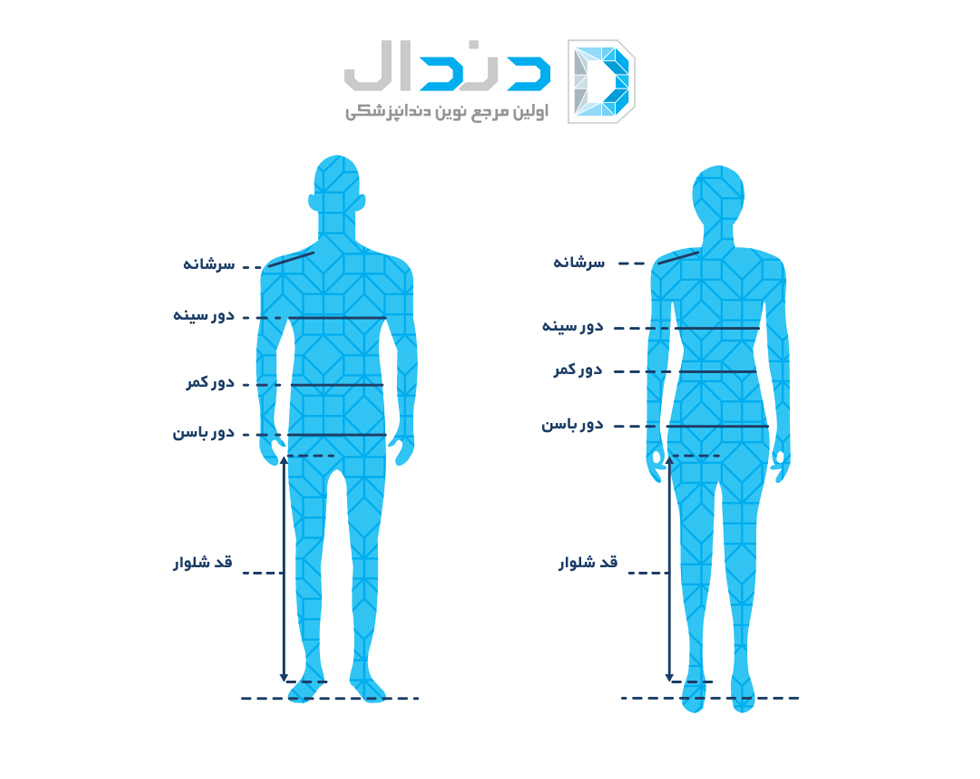 Man And Women Sizes Measurements