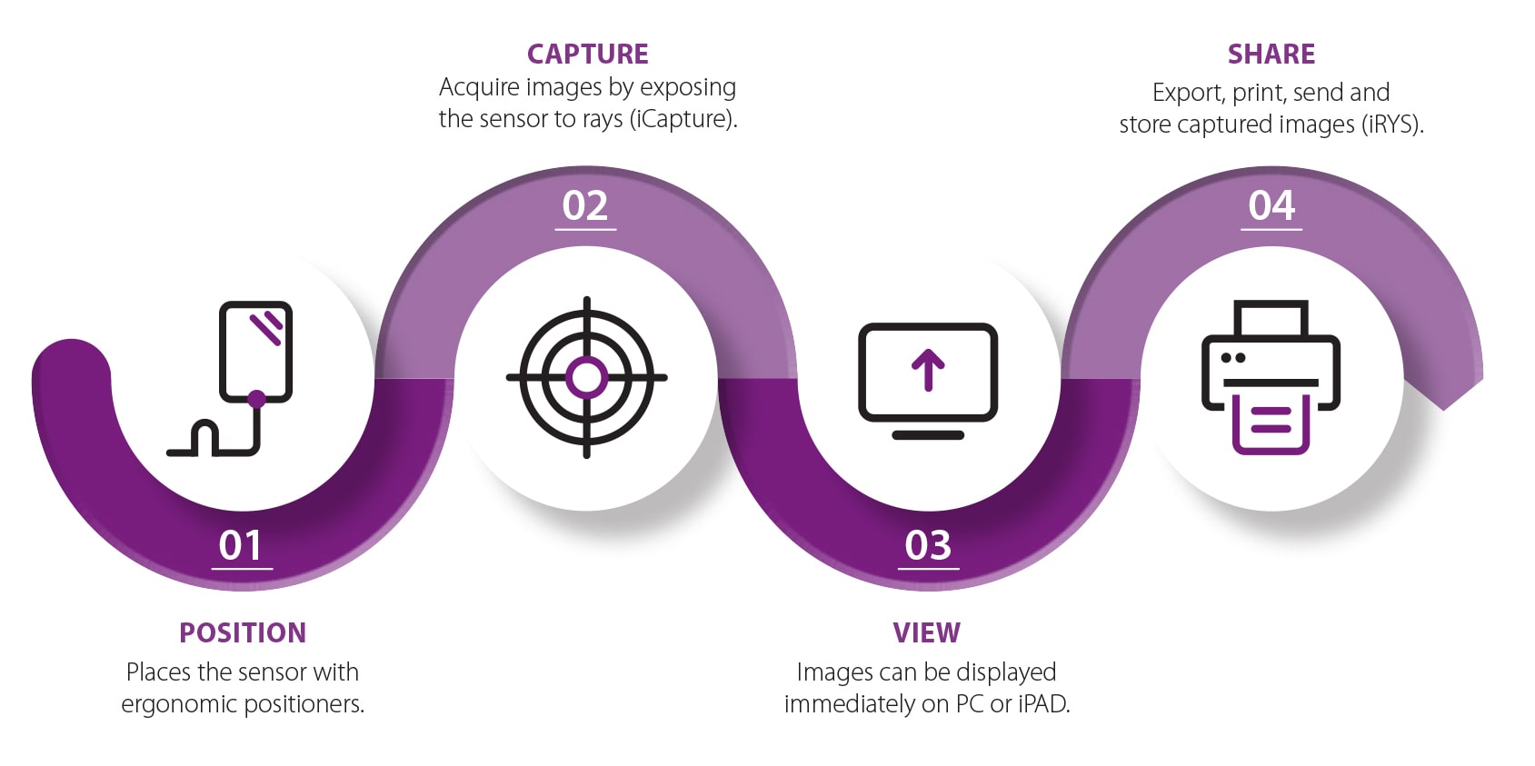 zen-x workflow