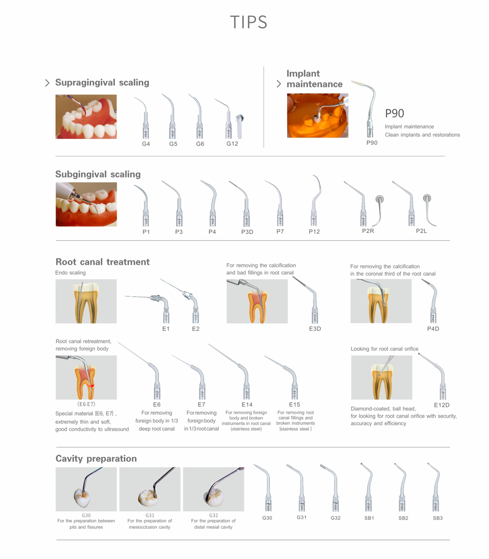 woodpecker uds-e compatiable tips