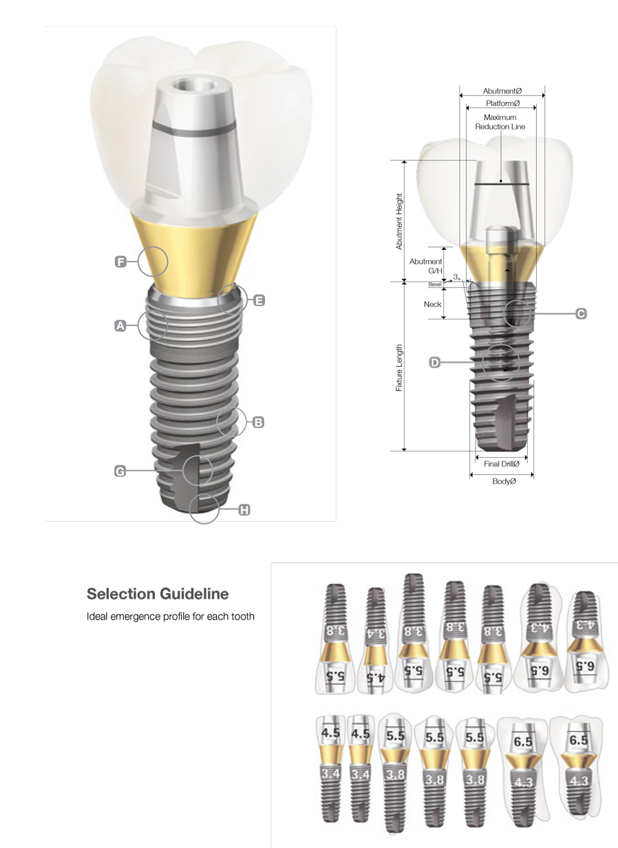 Dentium Implantium II Fixture Implant Dandal