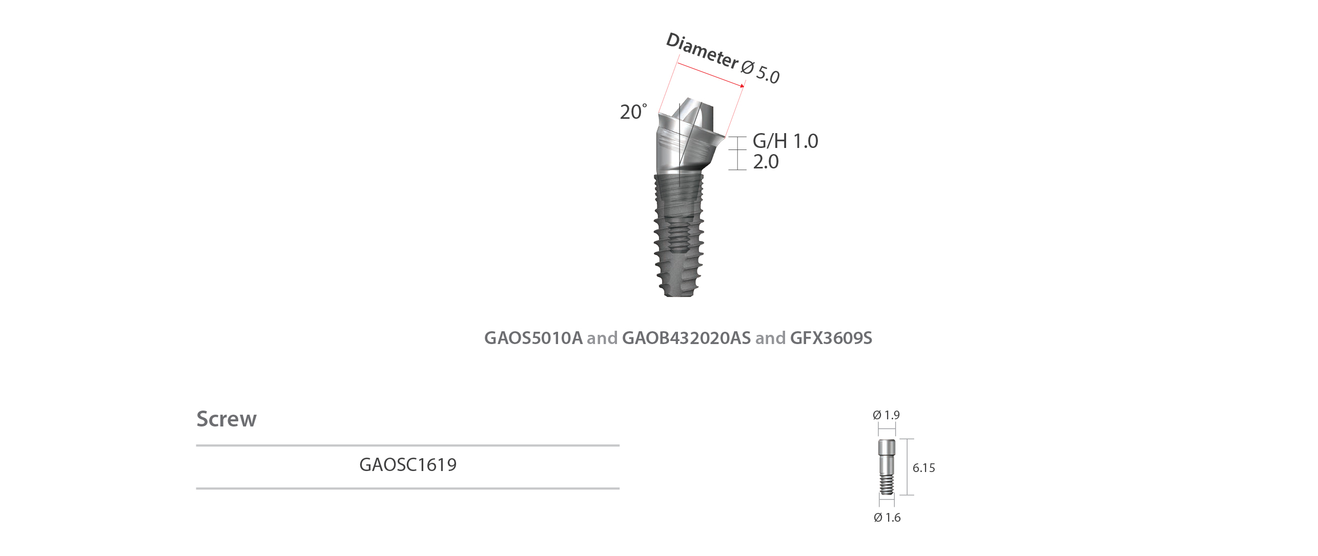 dentium angled screw abutment screw