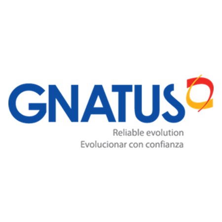 Gnatus International