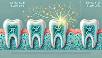 مزایای سلول های بنیادی پالپ دندان برای بازسازی اعصاب