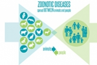 بیماری های مشترک انسان و حیوان، هیداتید در دندانپزشکی (Hydatid disease)